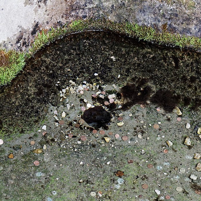 Photo de Site archéologique et paysager des Sources de la Seine