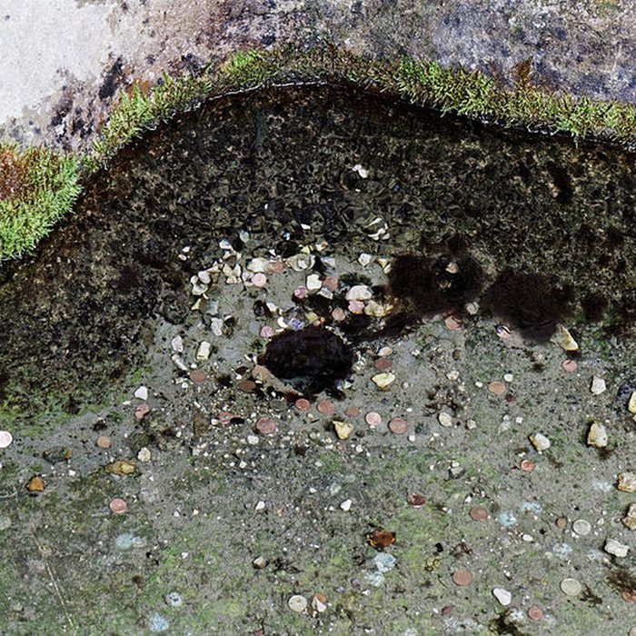 Photo de Site archéologique et paysager des Sources de la Seine