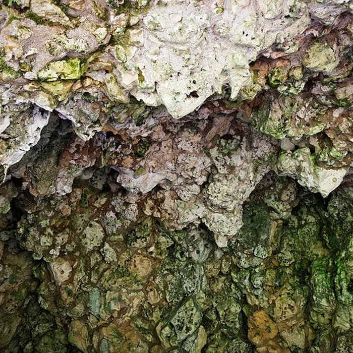 Photo de Site archéologique et paysager des Sources de la Seine