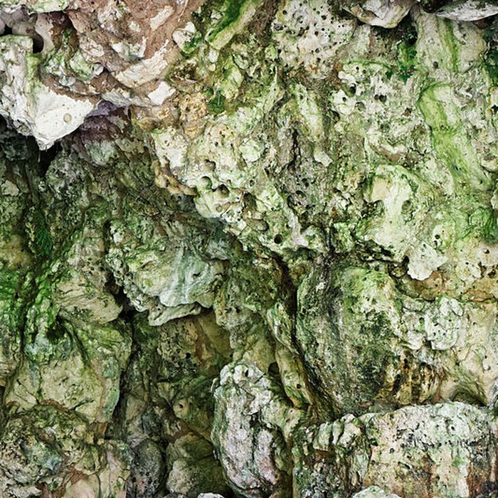 Photo de Site archéologique et paysager des Sources de la Seine