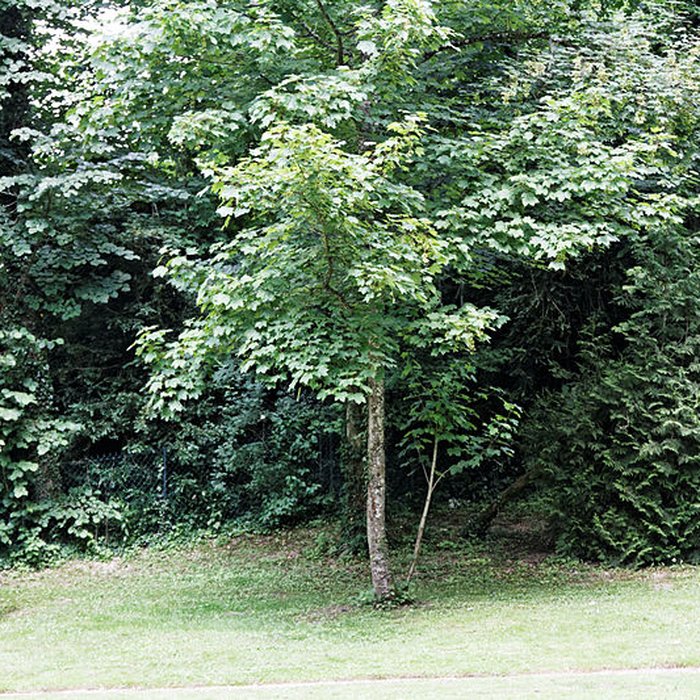Photo de Site archéologique et paysager des Sources de la Seine