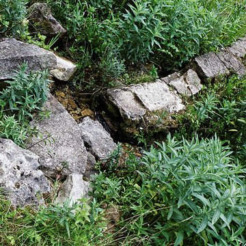 Site archéologique et paysager des Sources de la Seine