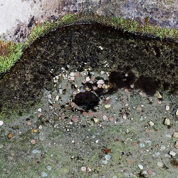 Site archéologique et paysager des Sources de la Seine