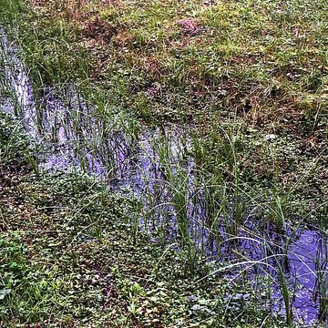 Site archéologique et paysager des Sources de la Seine