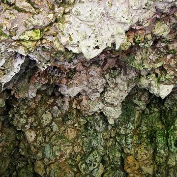 Site archéologique et paysager des Sources de la Seine