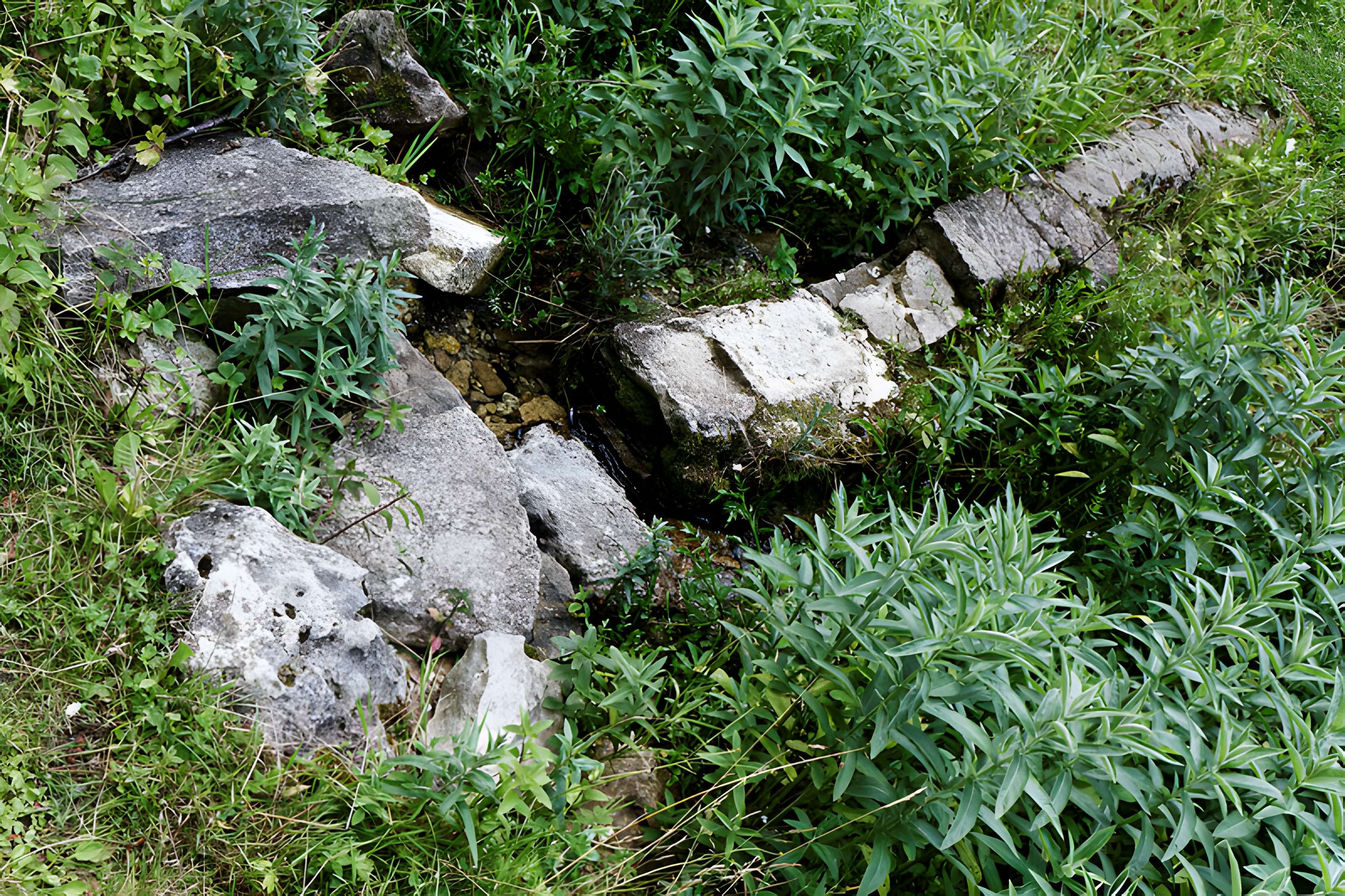 Site archéologique et paysager des Sources de la Seine