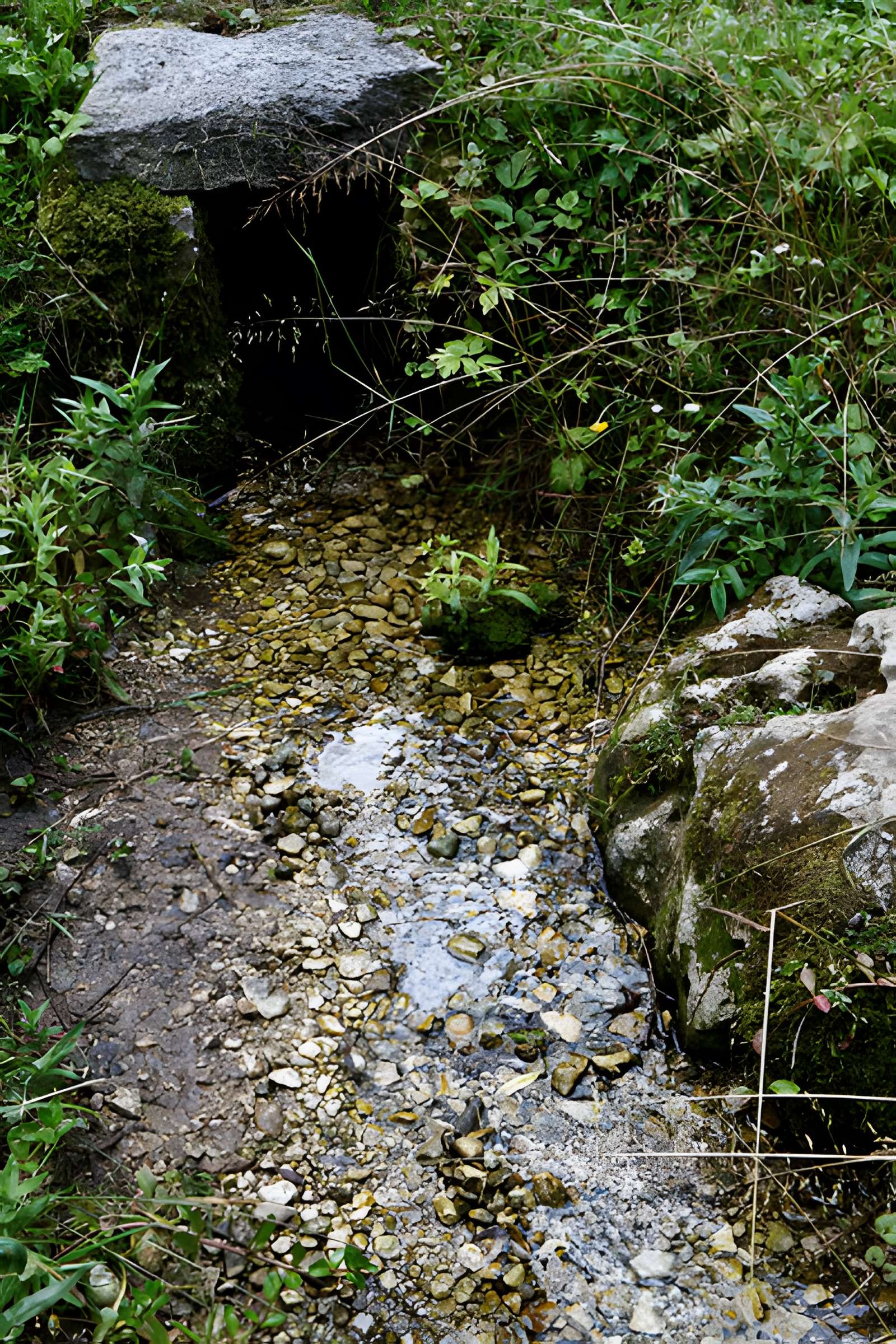 Site archéologique et paysager des Sources de la Seine