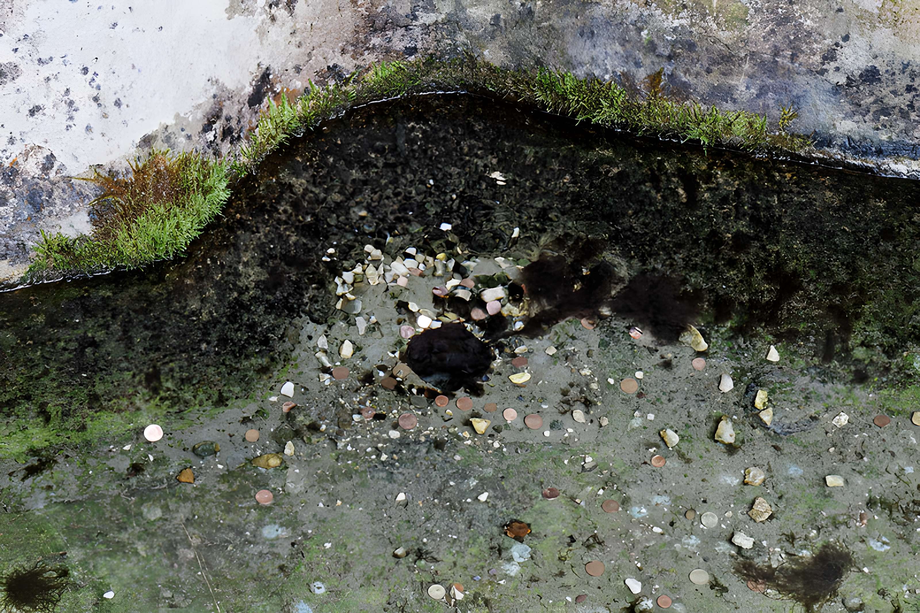 Site archéologique et paysager des Sources de la Seine