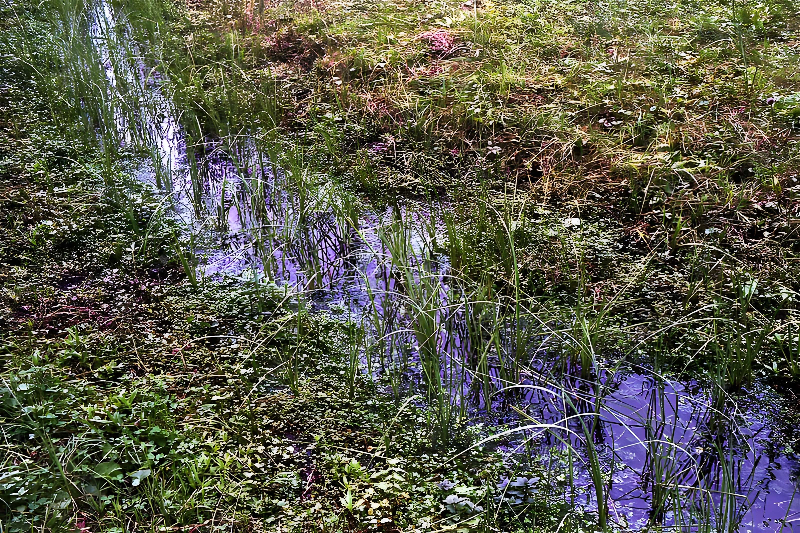 Site archéologique et paysager des Sources de la Seine