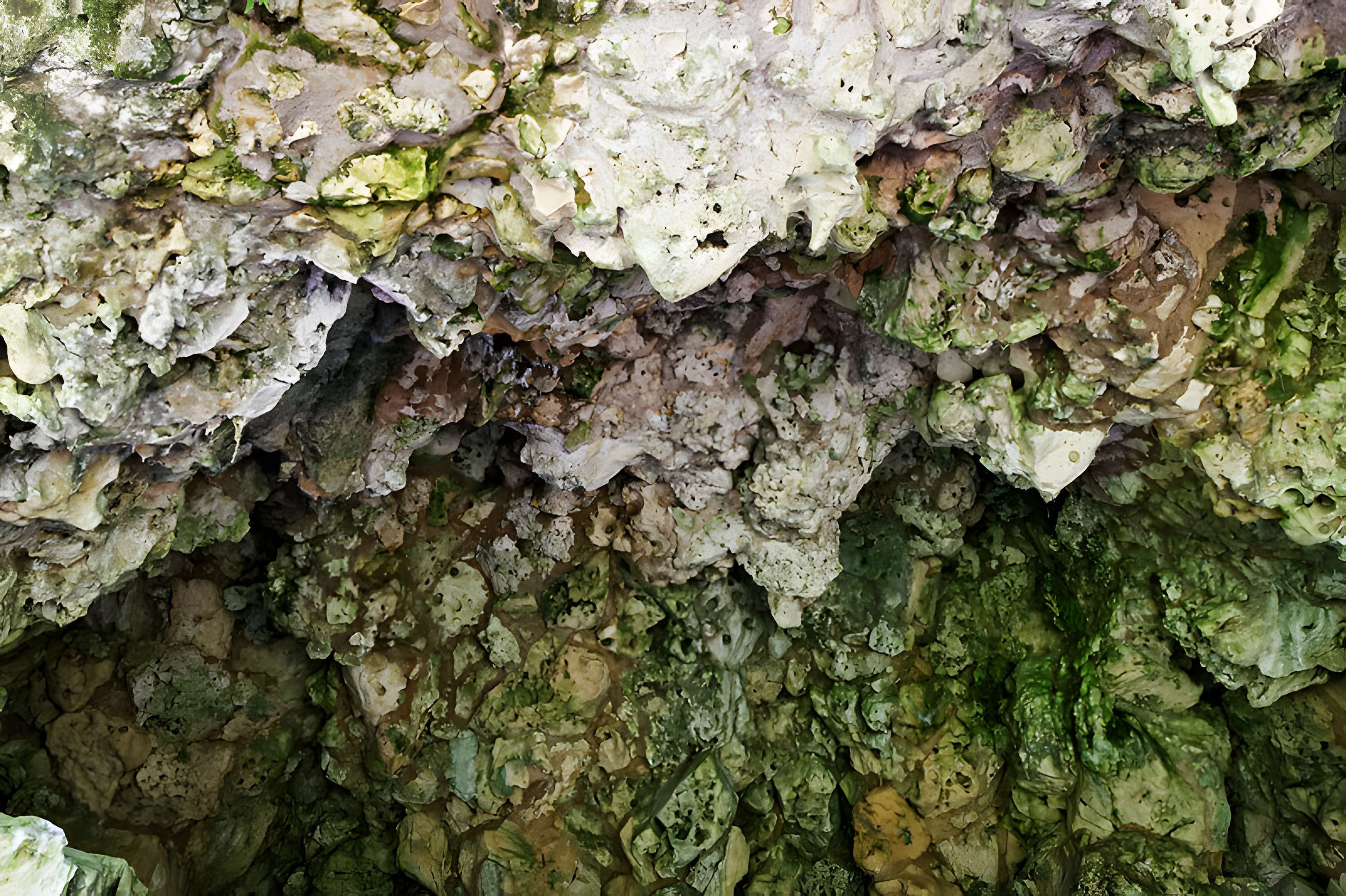 Site archéologique et paysager des Sources de la Seine