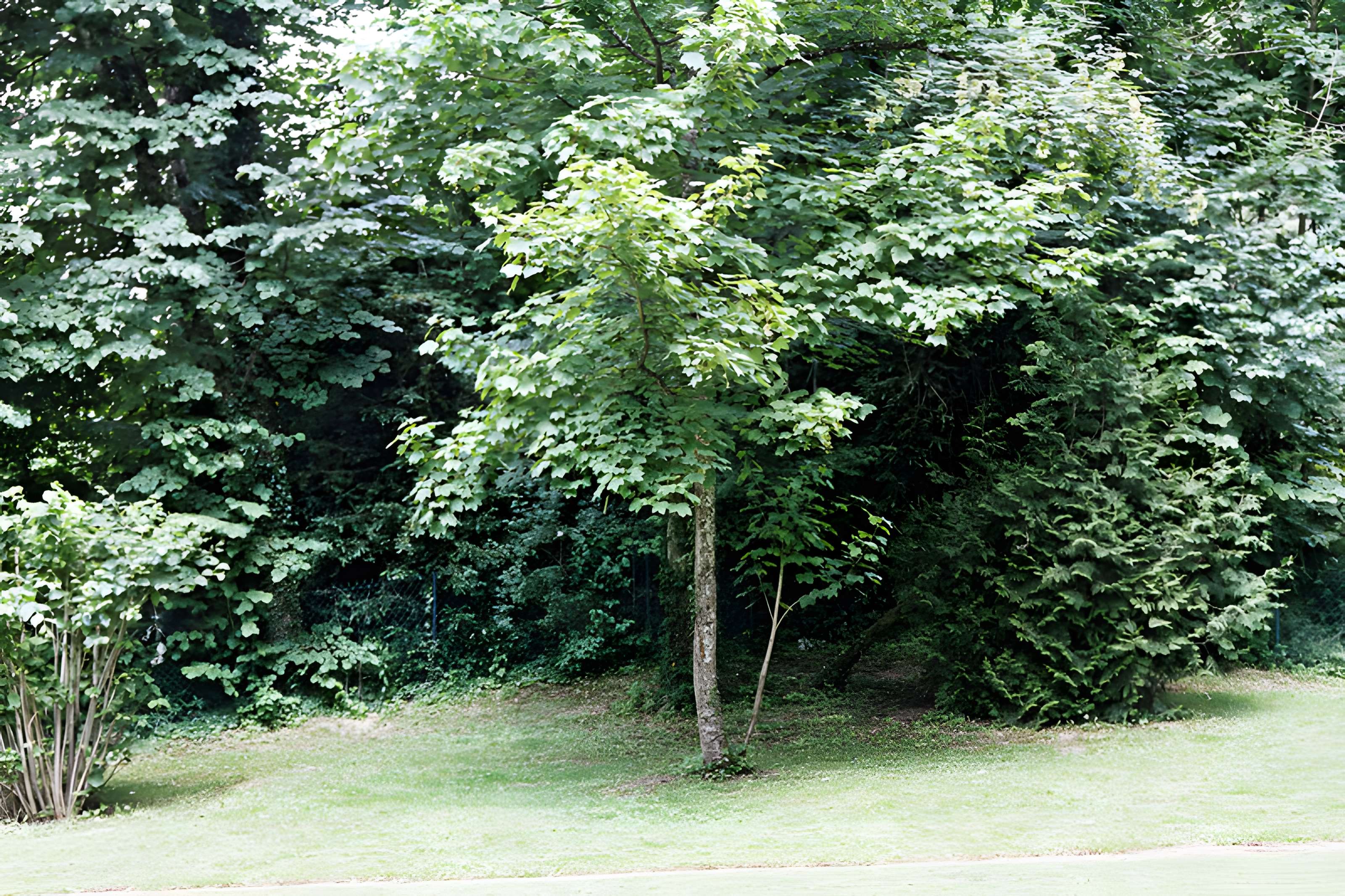 Site archéologique et paysager des Sources de la Seine