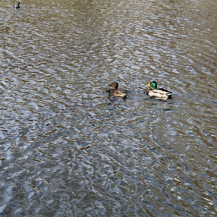 Photo de Couvent des Capucins de Coulommiers