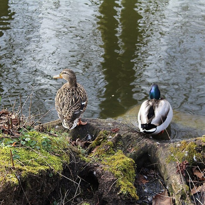 Photo de Couvent des Capucins de Coulommiers