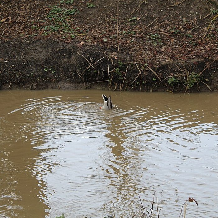 Photo de Couvent des Capucins de Coulommiers
