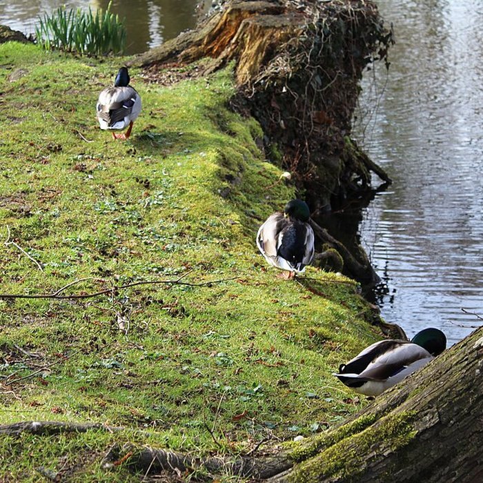 Photo de Couvent des Capucins de Coulommiers
