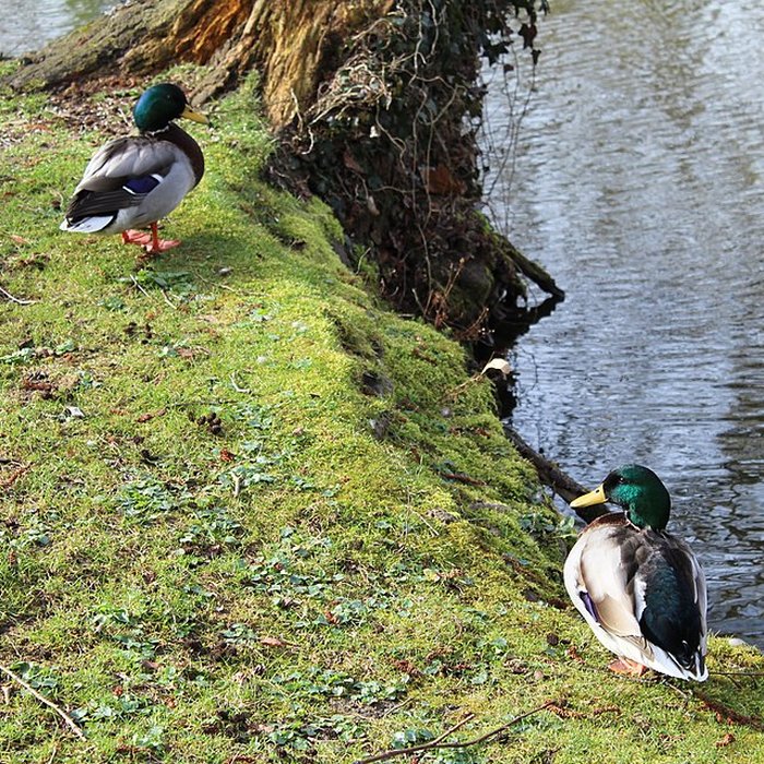 Photo de Couvent des Capucins de Coulommiers