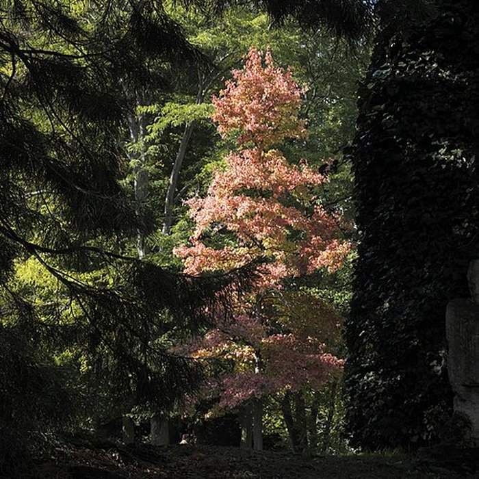 Photo de Couvent des Capucins de Coulommiers