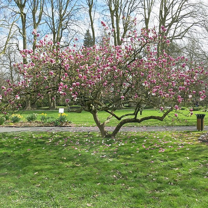 Photo de Couvent des Capucins de Coulommiers