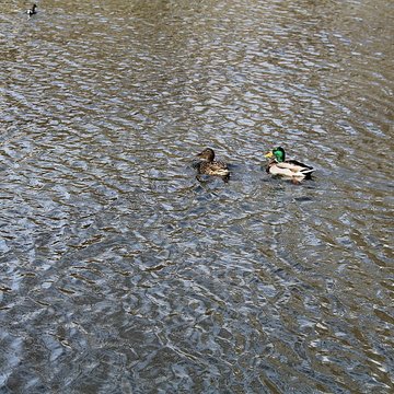 Couvent des Capucins de Coulommiers
