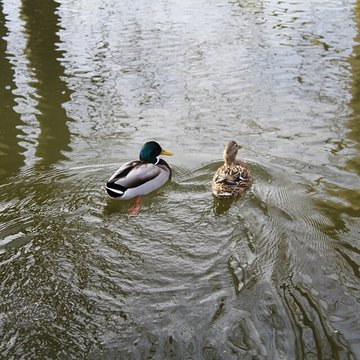 Couvent des Capucins de Coulommiers
