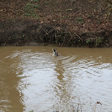 Couvent des Capucins de Coulommiers