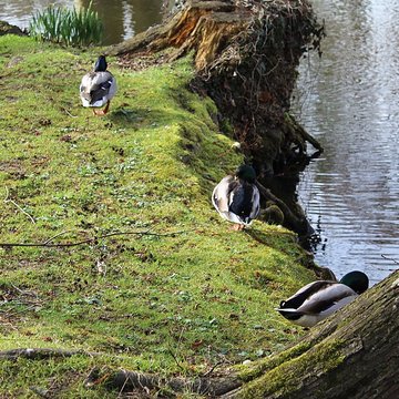 Couvent des Capucins de Coulommiers
