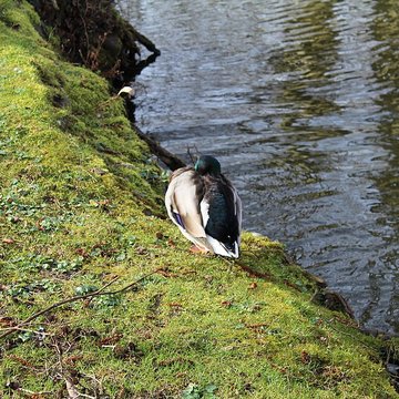 Couvent des Capucins de Coulommiers