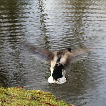 Couvent des Capucins de Coulommiers