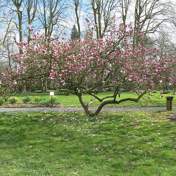 Couvent des Capucins de Coulommiers