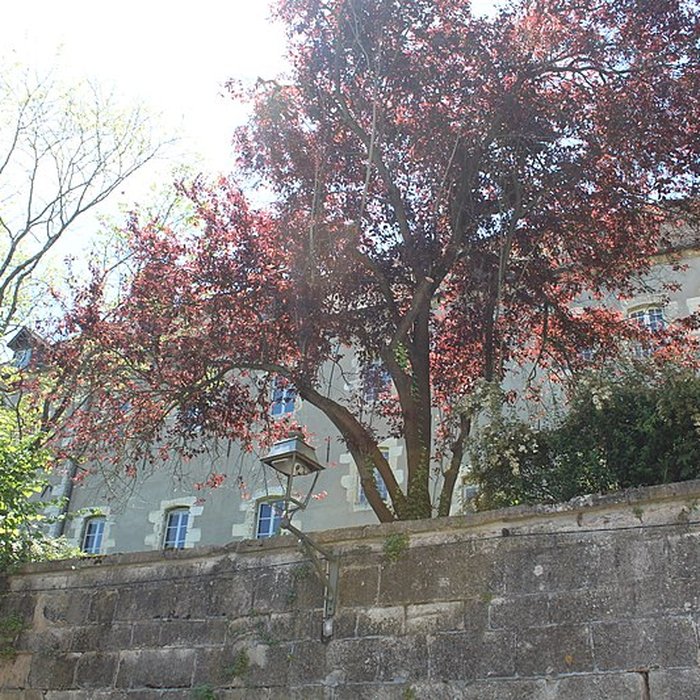 Photo de Couvent des Cordeliers de Dole