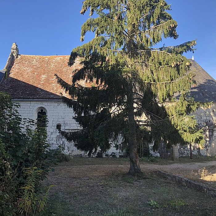 Photo de Couvent des Franciscaines de Mirebeau