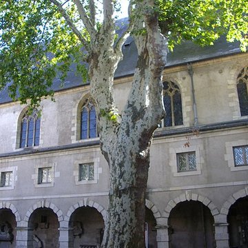 Couvent des Minimes dOrléans