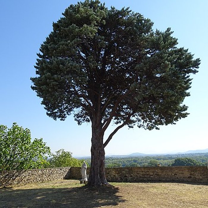 Photo de Couvent Saint-Roch de Viviers
