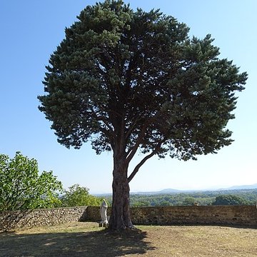 Couvent Saint-Roch de Viviers