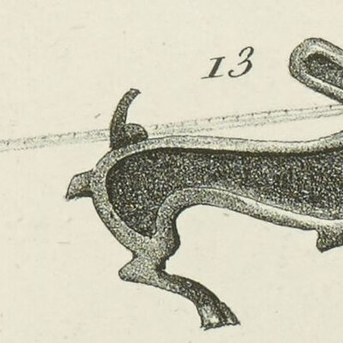 Photo de Aquis Segeste à Sceaux-du-Gâtinais