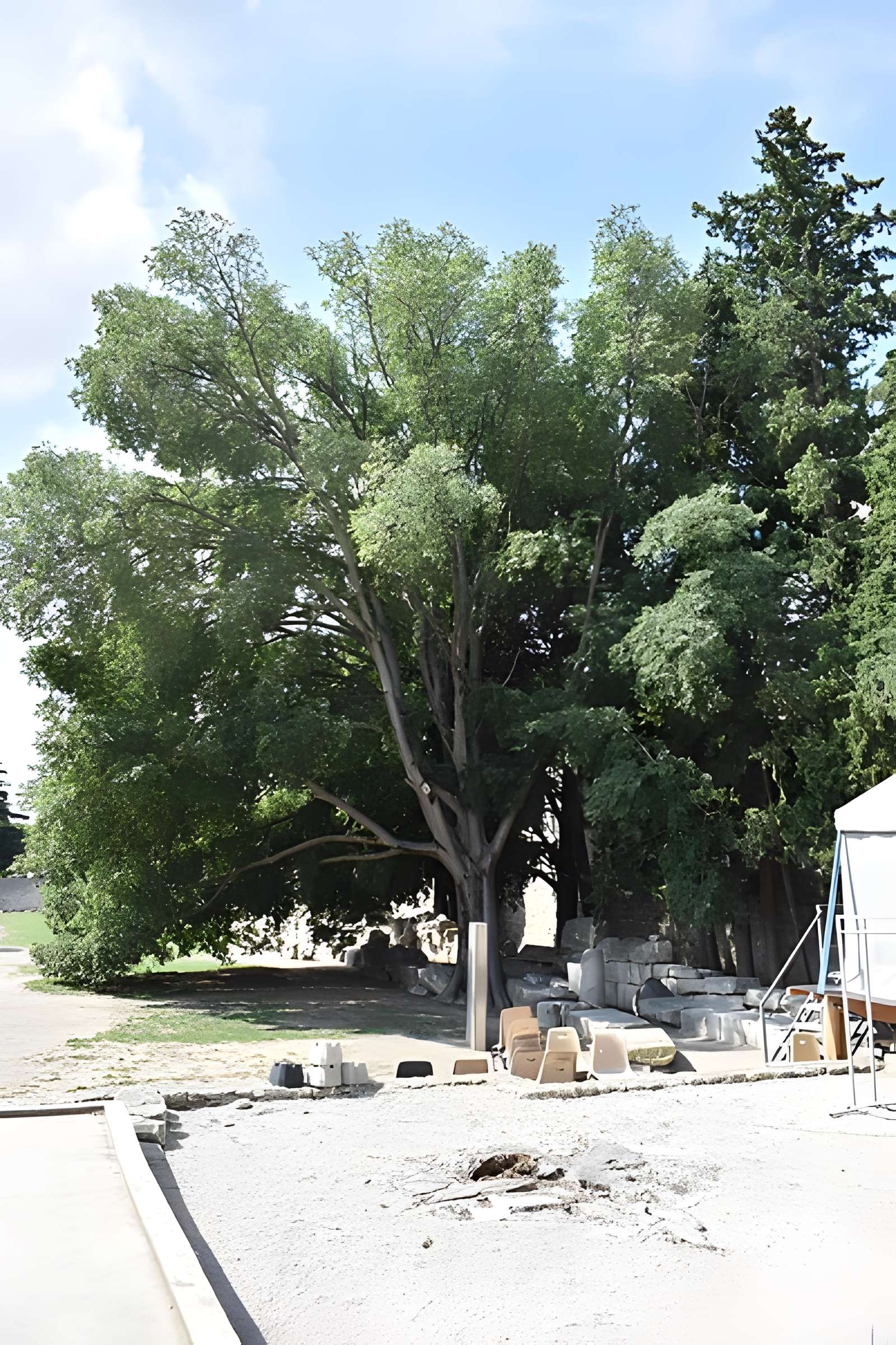 Théâtre antique d'Arles