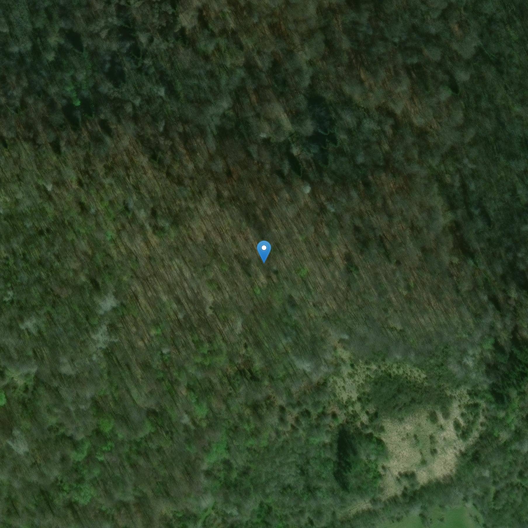 Photo de モンフェリアの交差点