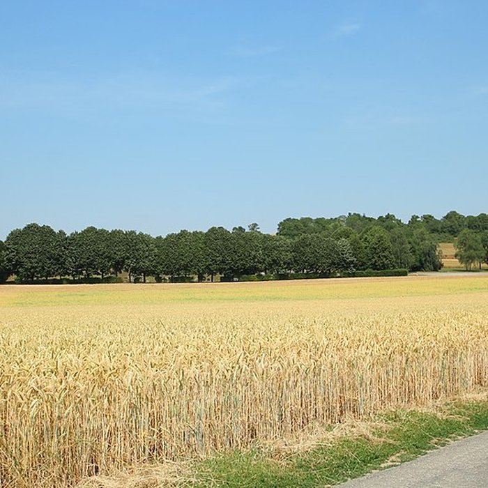 Photo de Théâtre antique de Vendeuil-Caply