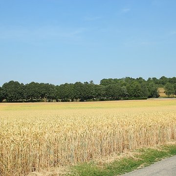 Théâtre antique de Vendeuil-Caply