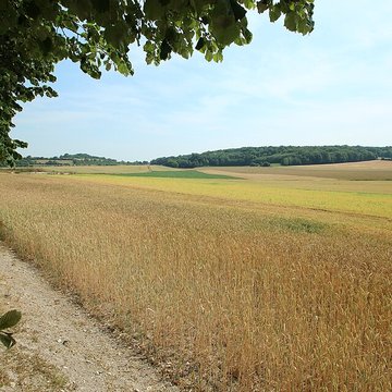 Théâtre antique de Vendeuil-Caply