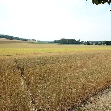 Théâtre antique de Vendeuil-Caply