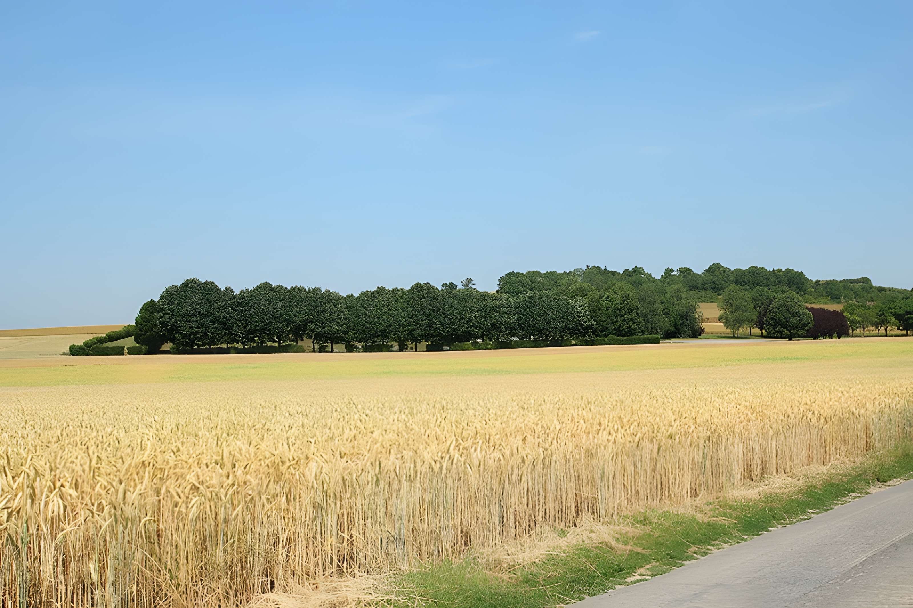 Théâtre antique de Vendeuil-Caply