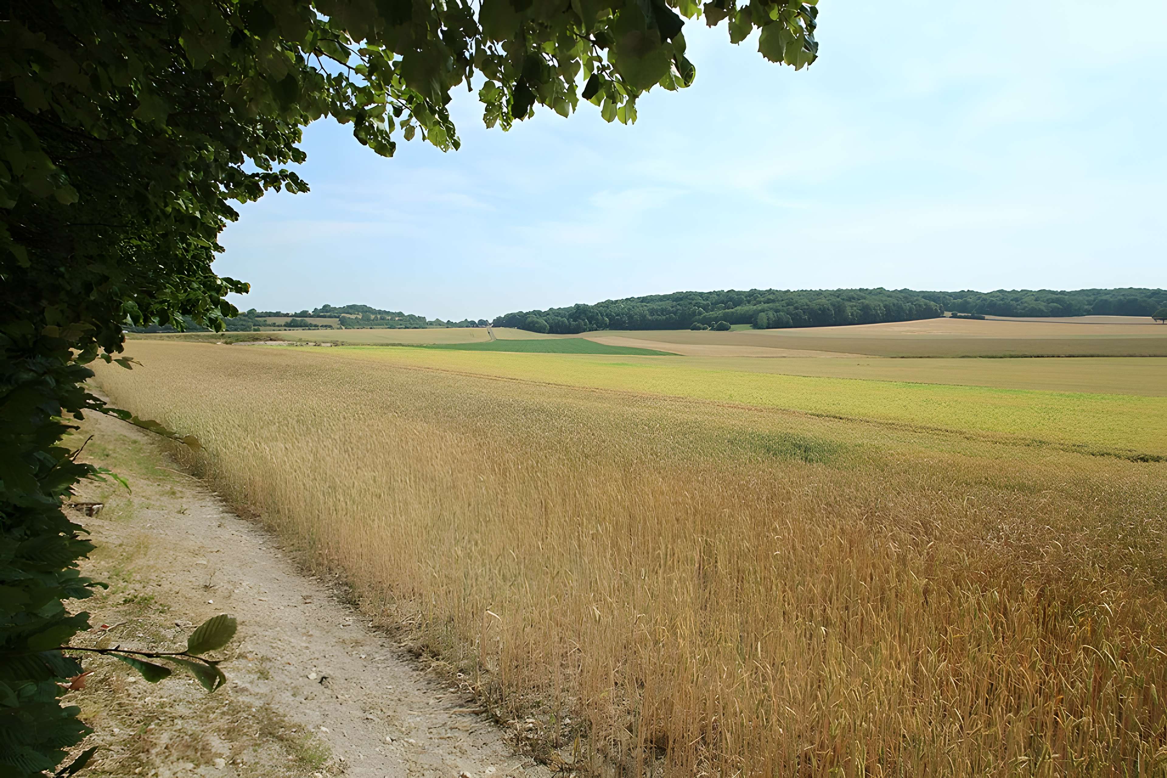 Théâtre antique de Vendeuil-Caply