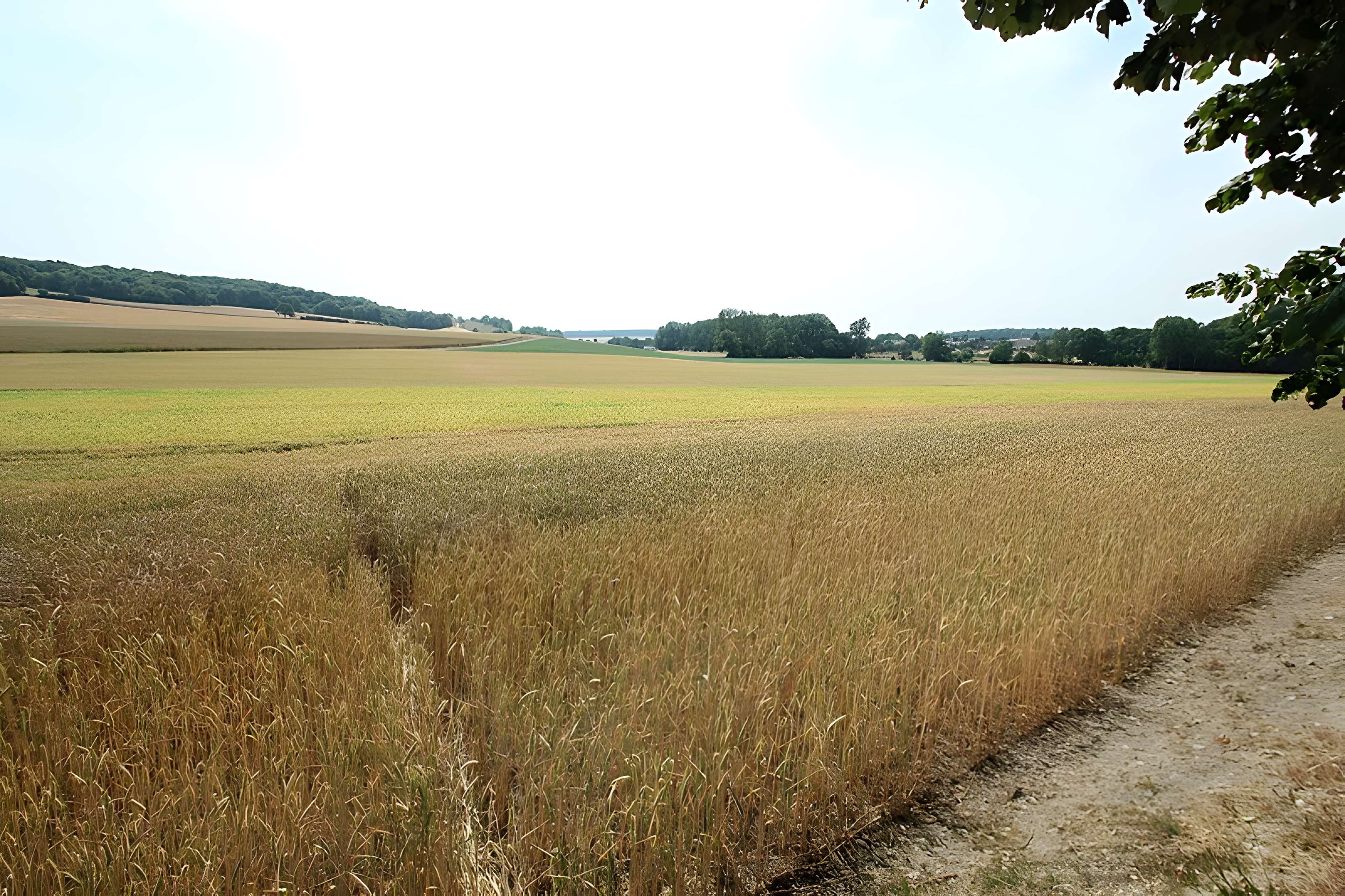 Théâtre antique de Vendeuil-Caply