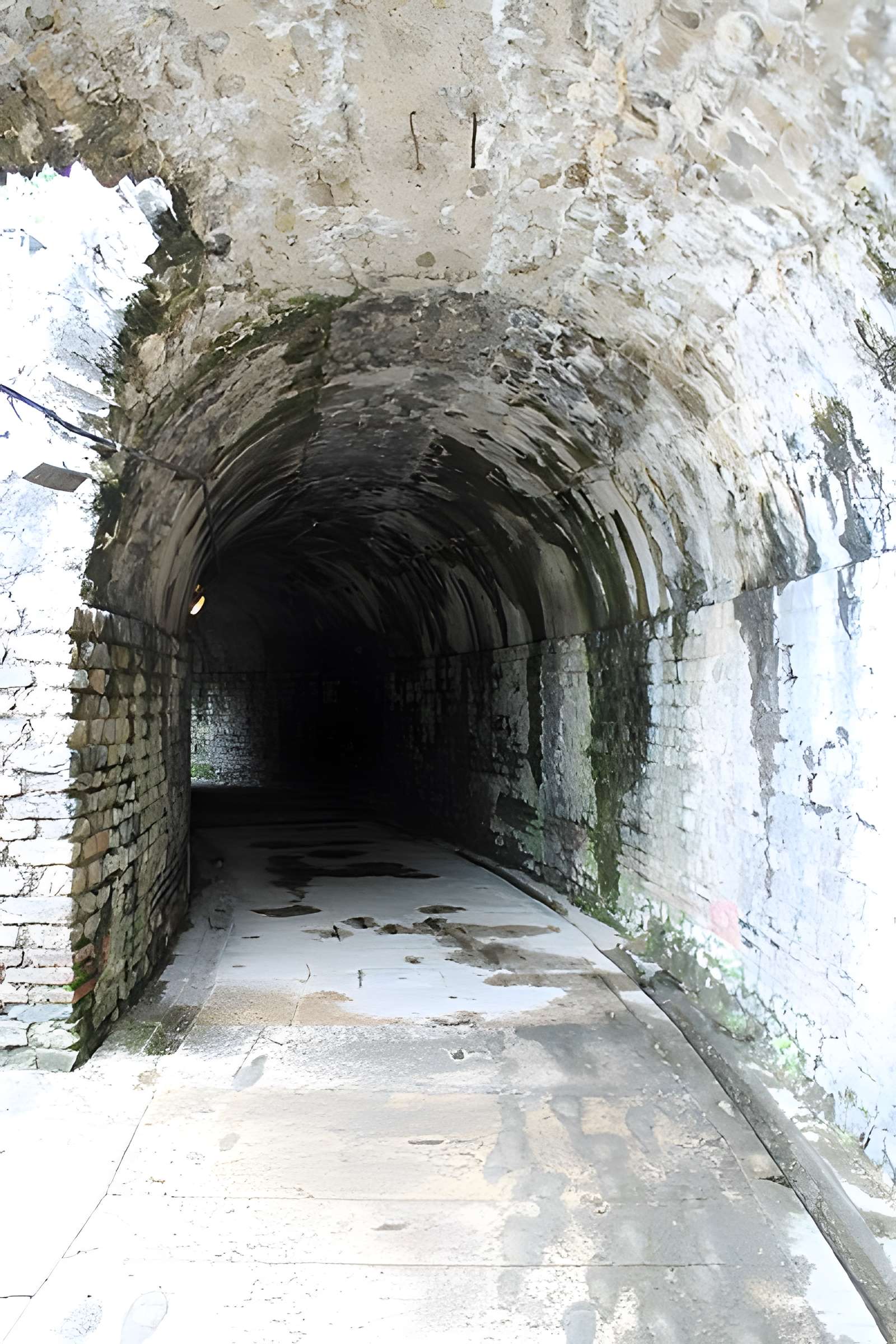 Théâtre antique de Vienne 