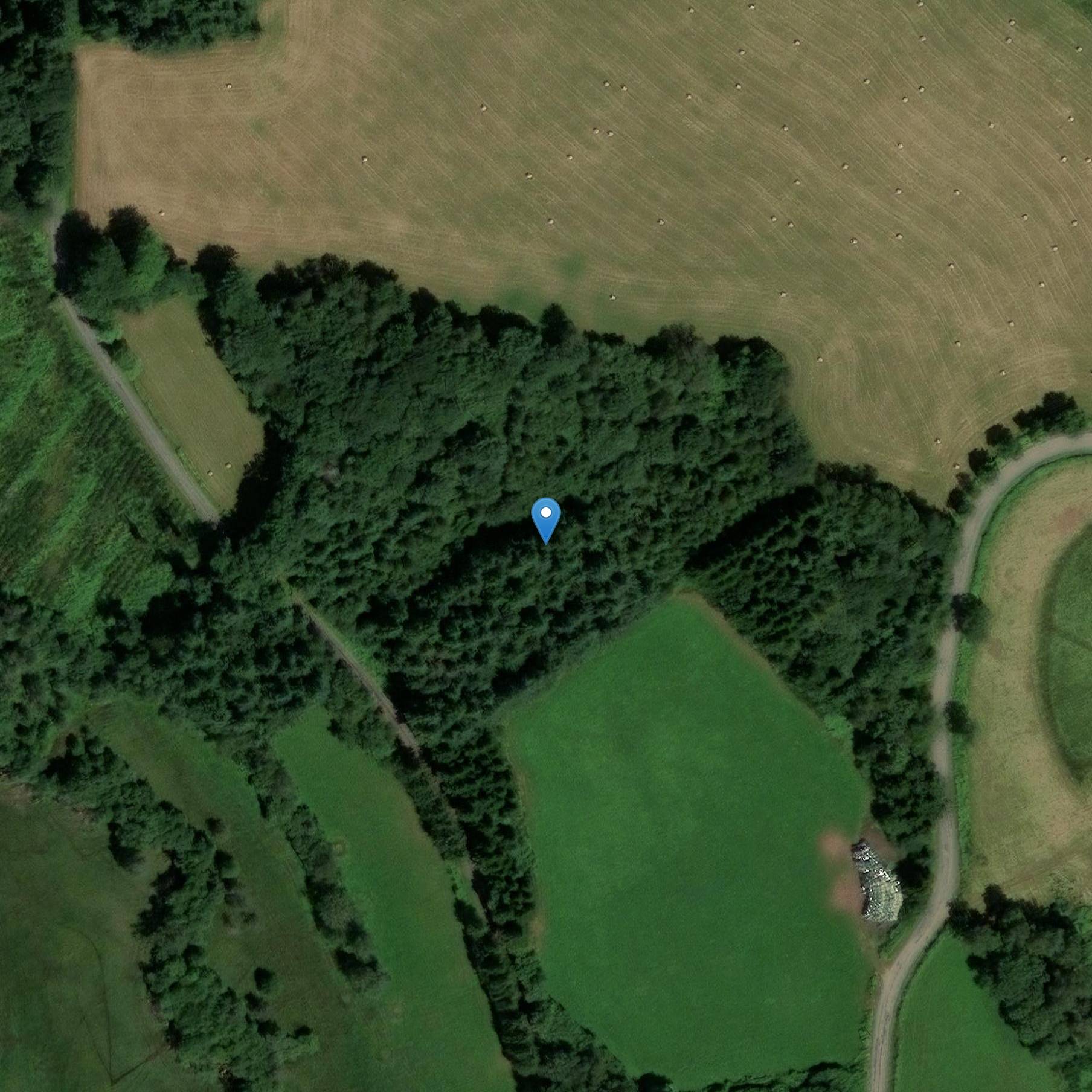 Photo de Croce stradale di Couffy-sur-Sarsonne