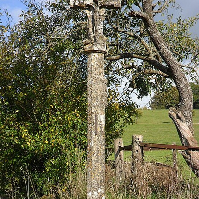 Photo de Croix de chemin de Courcelles-sous-Châtenois