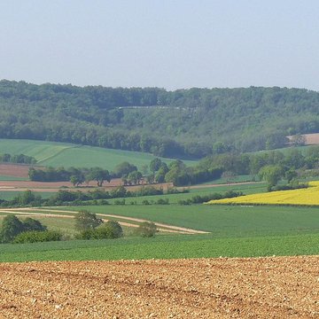 Théâtre gallo-romain des Bouchauds à Saint-Cybardeaux