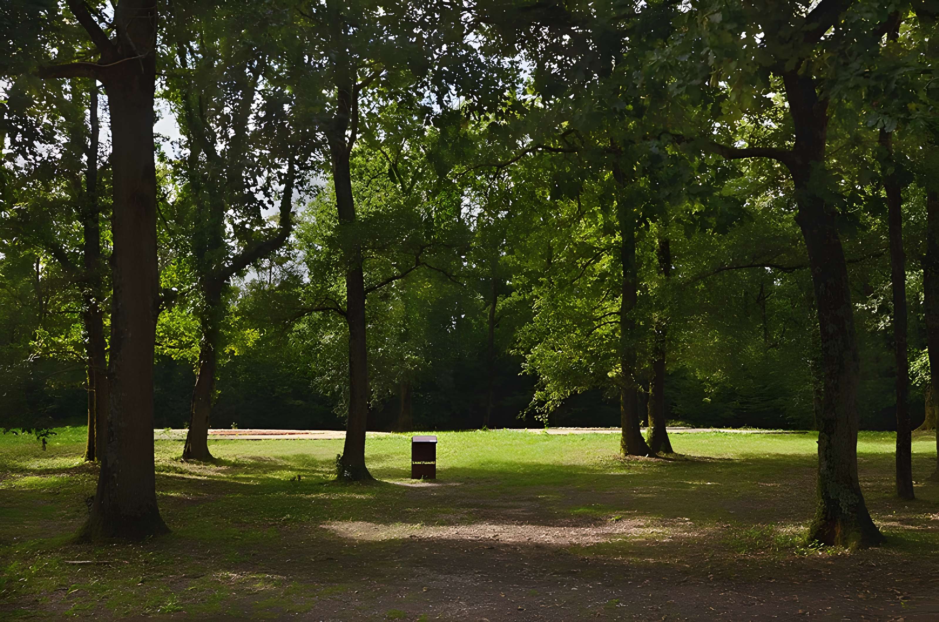 Théâtre gallo-romain des Bouchauds à Saint-Cybardeaux