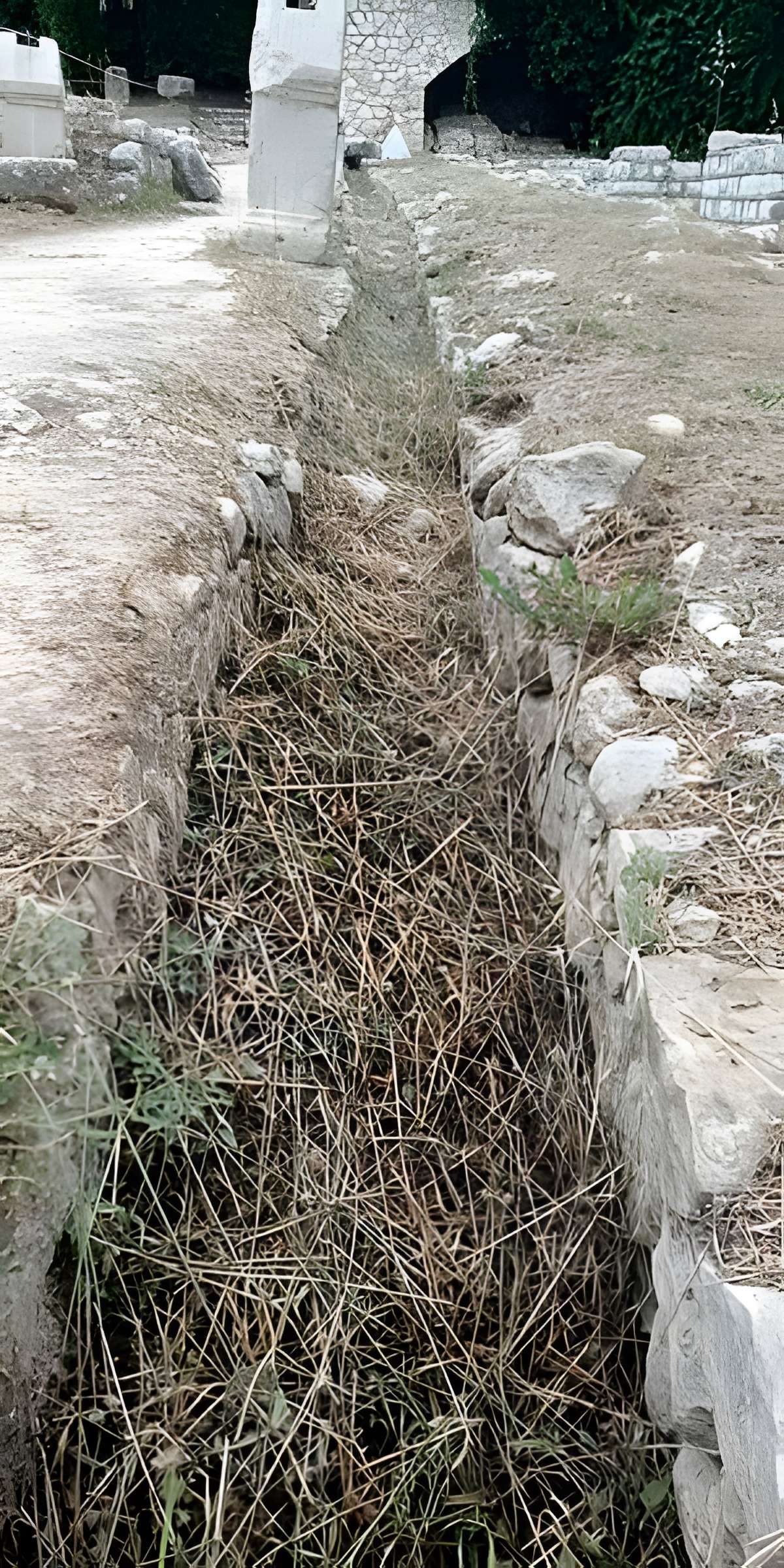 Thermes romains de Cimiez, dans le domaine de la villa Garin de Cacconata